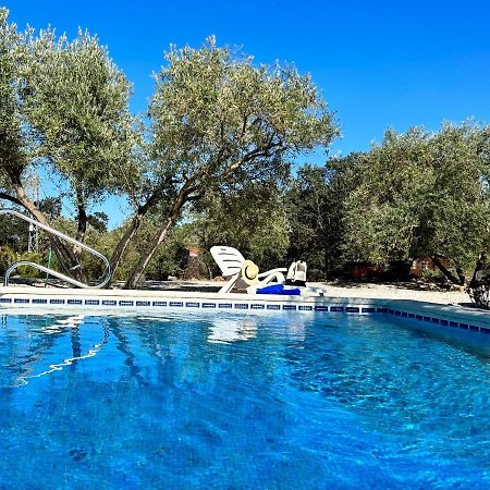 Refugio Andaluz Con Piscina Entre Olivos Вильянуэва-де-Тапиа Экстерьер фото
