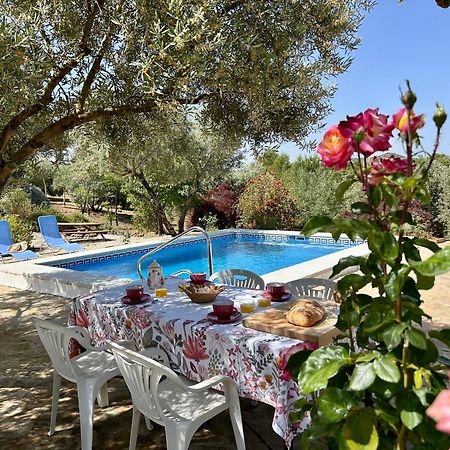 Refugio Andaluz Con Piscina Entre Olivos Вильянуэва-де-Тапиа Экстерьер фото