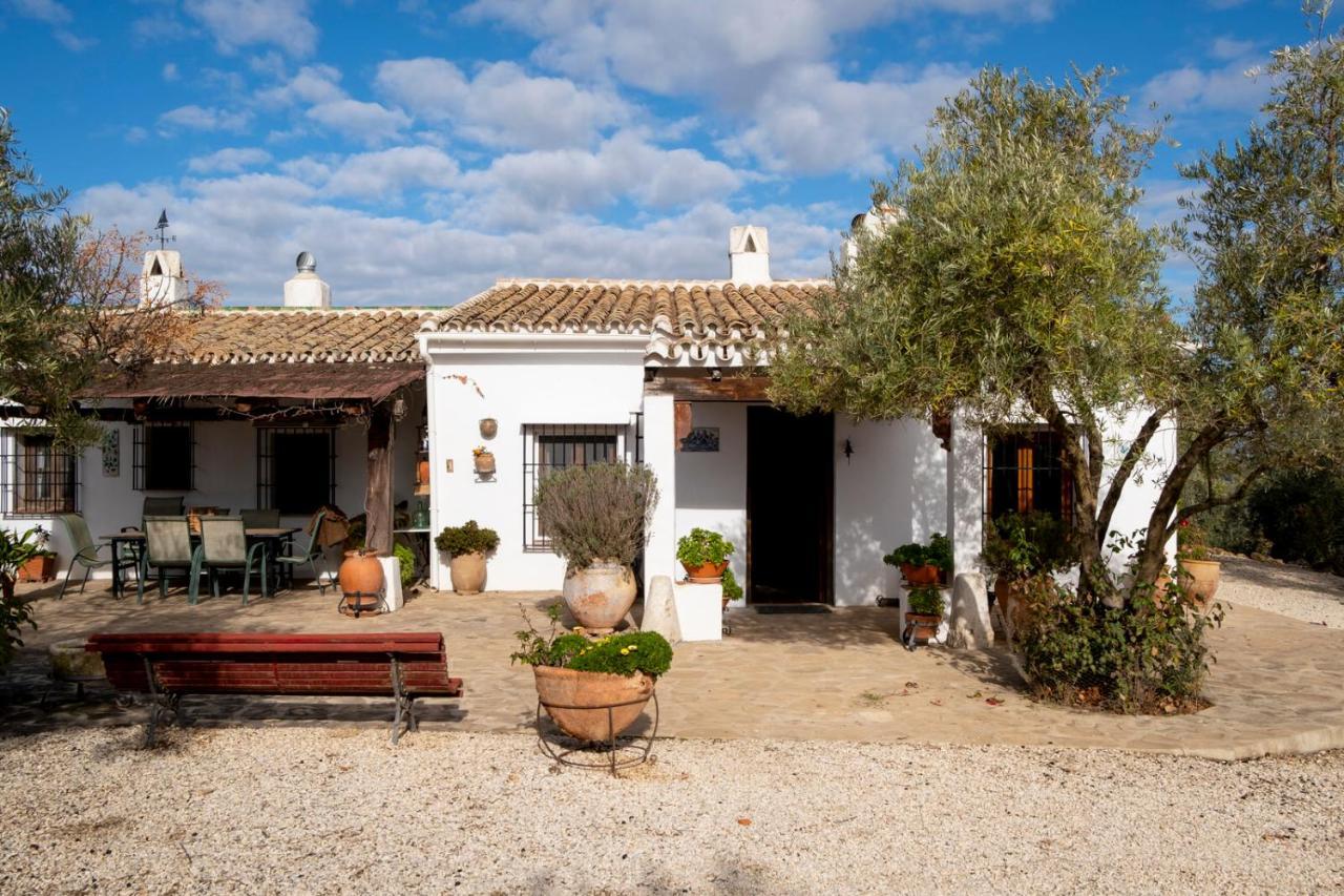 Refugio Andaluz Con Piscina Entre Olivos Вильянуэва-де-Тапиа Экстерьер фото