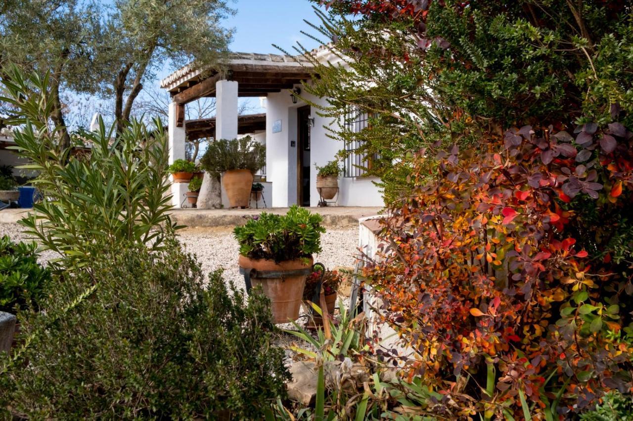 Refugio Andaluz Con Piscina Entre Olivos Вильянуэва-де-Тапиа Экстерьер фото