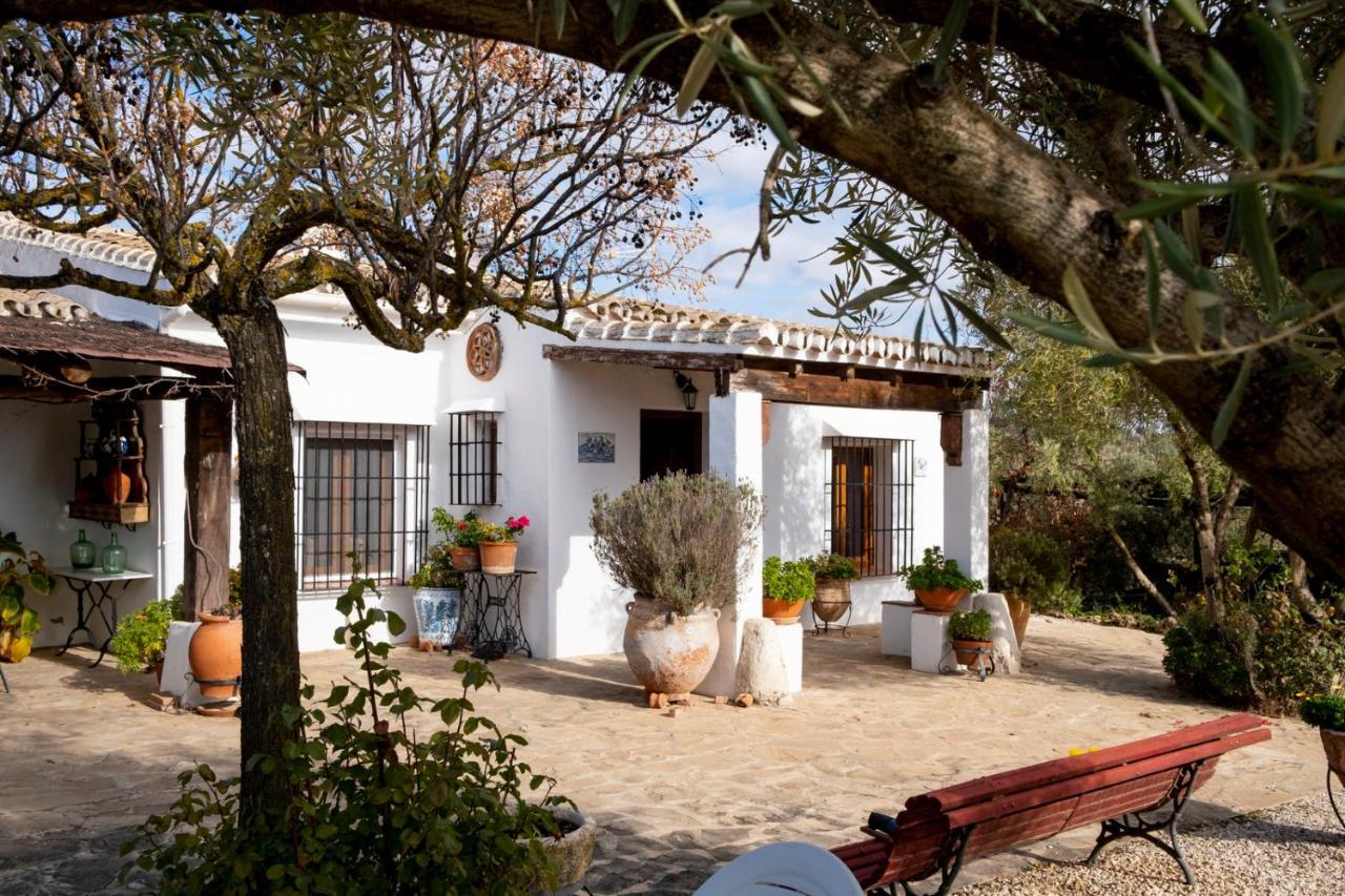 Refugio Andaluz Con Piscina Entre Olivos Вильянуэва-де-Тапиа Экстерьер фото