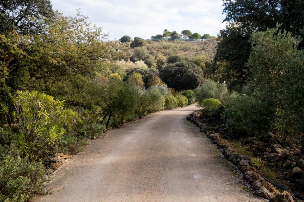 Refugio Andaluz Con Piscina Entre Olivos Вильянуэва-де-Тапиа Экстерьер фото