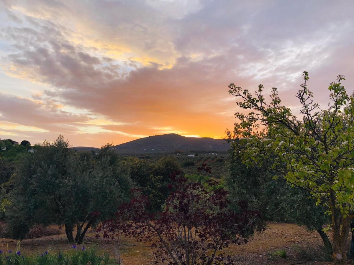 Refugio Andaluz Con Piscina Entre Olivos Вильянуэва-де-Тапиа Экстерьер фото