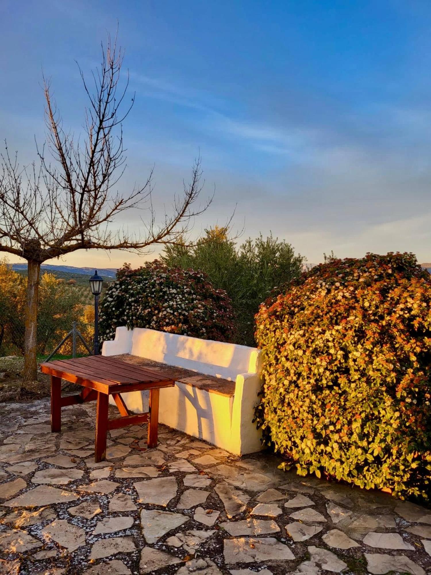 Refugio Andaluz Con Piscina Entre Olivos Вильянуэва-де-Тапиа Экстерьер фото